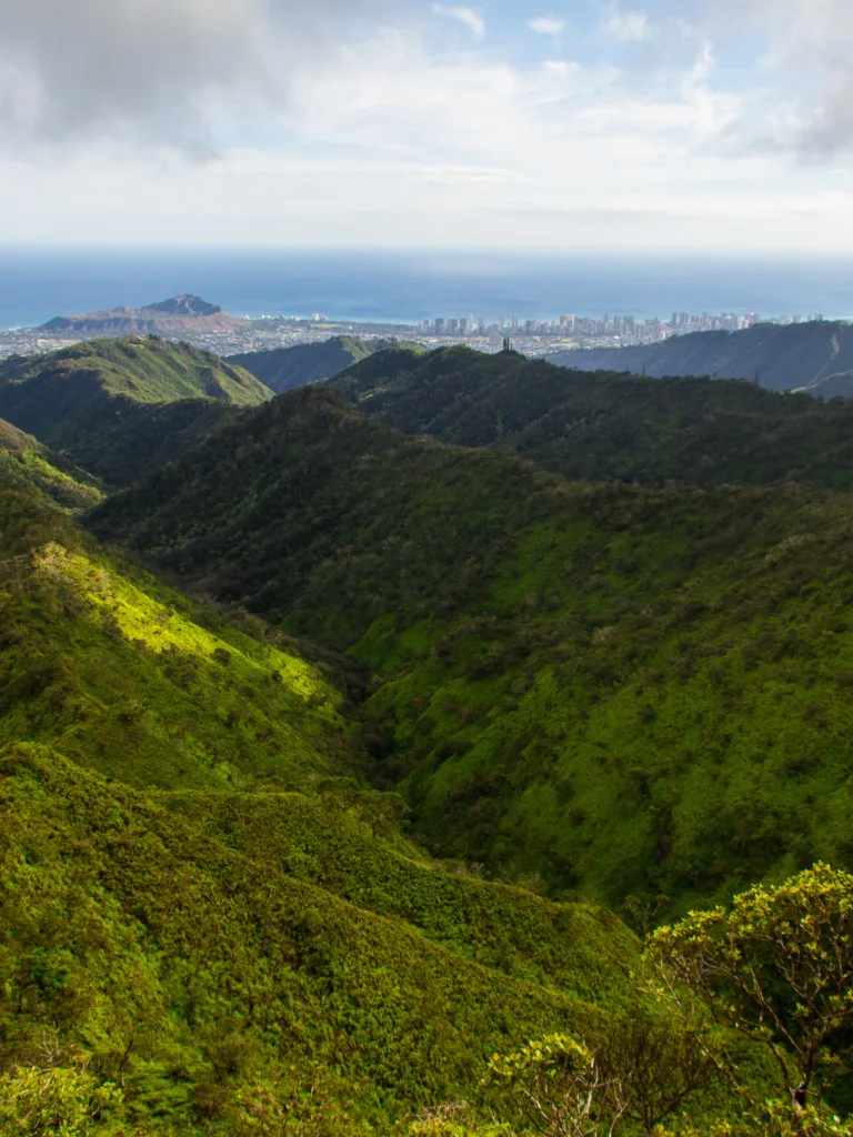 image of Wiliwilinui Ridge Trail best sunset hikes oahu