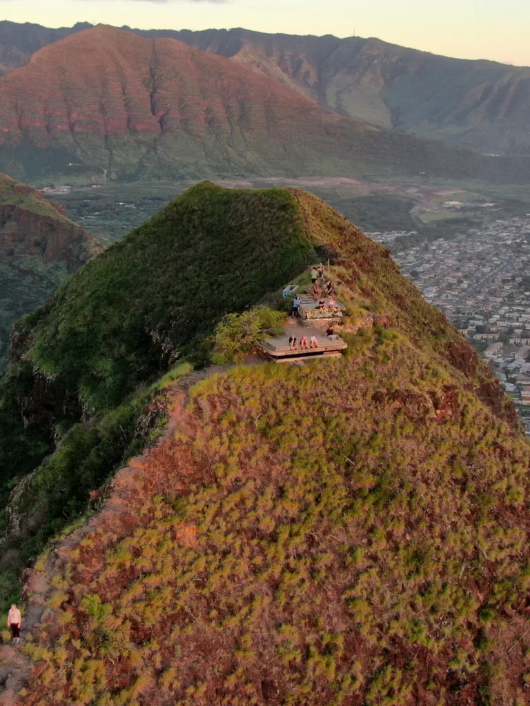 image of pink pillbox hike