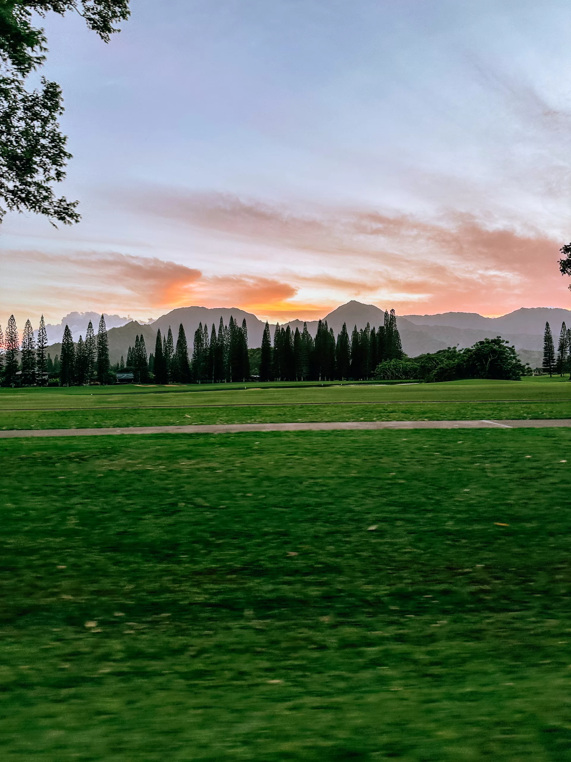 image of princeville path at sunset